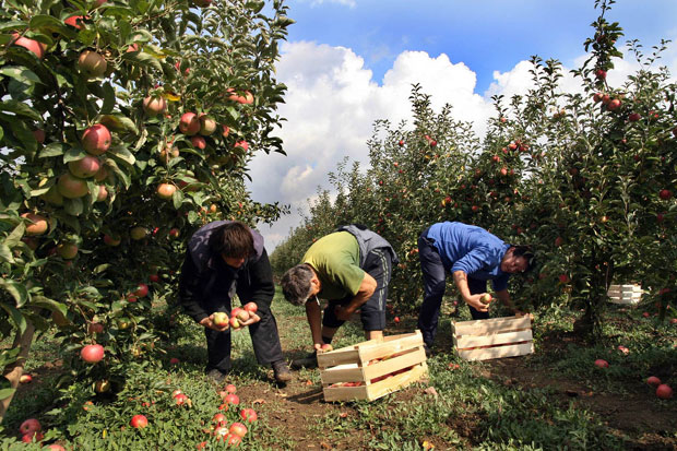 До надничара на клик